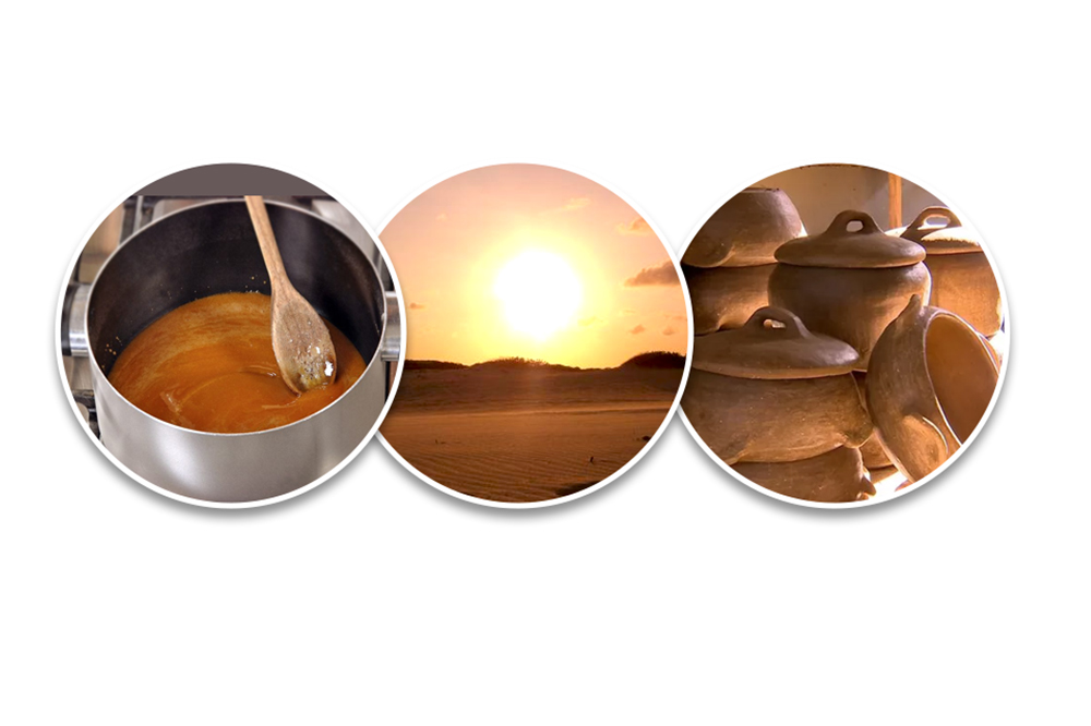 logo_TerraSol1